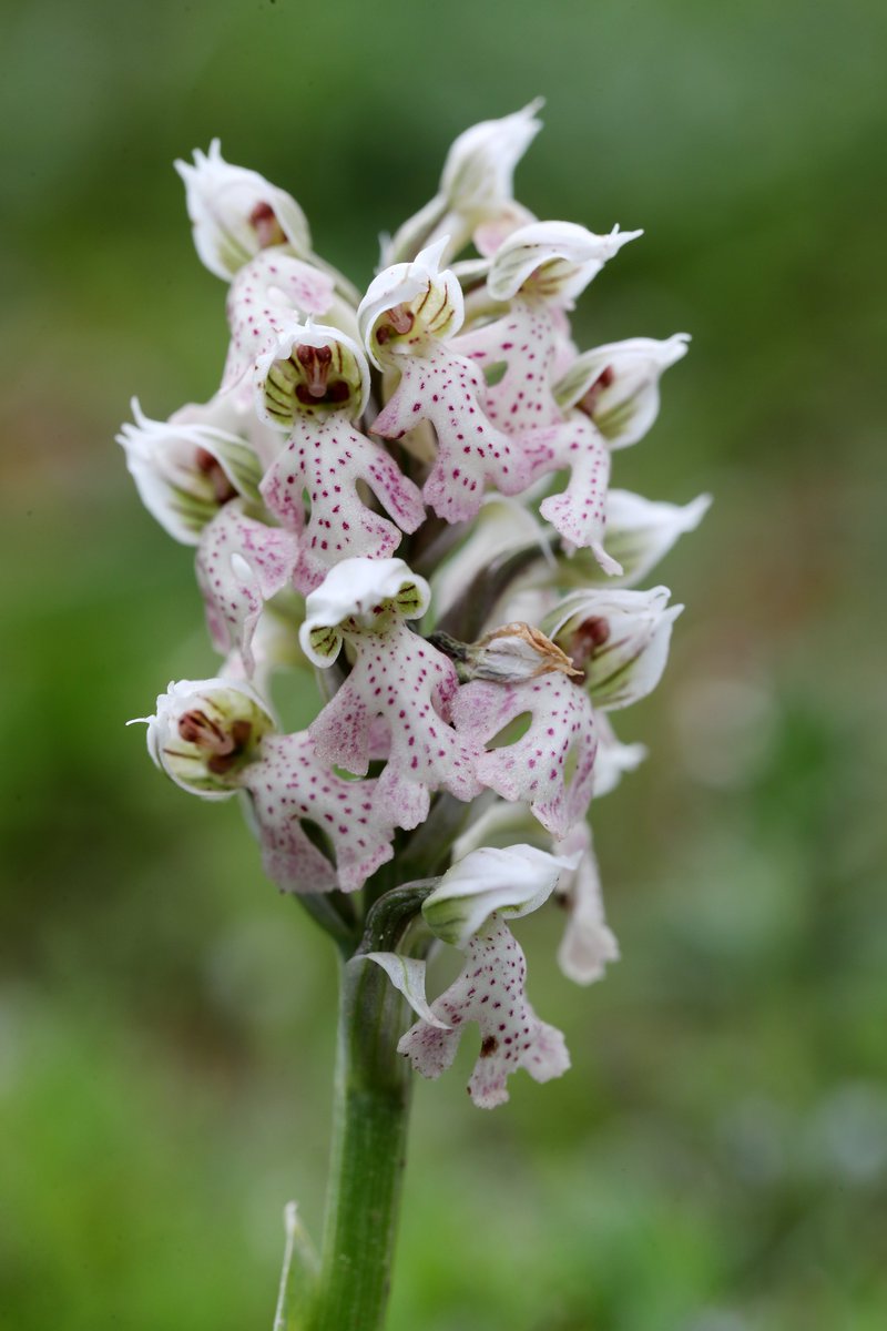 Jon Dunn 🇺🇦 tweet media