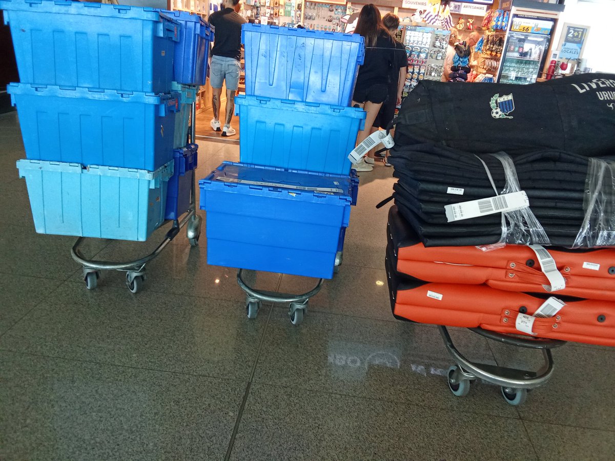 Alejandro Williman tweet media