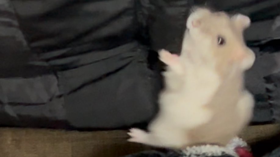 c6u6v's tweet image. 