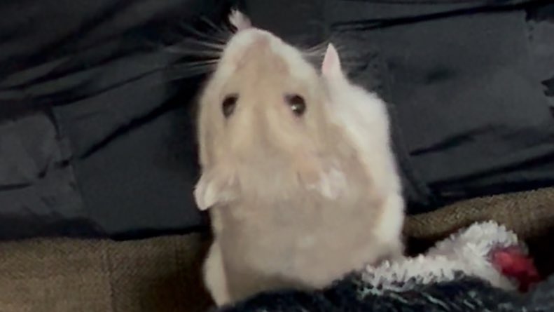 c6u6v's tweet image. 