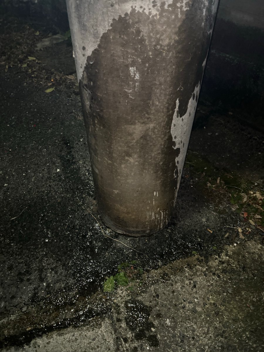 あさっけ tweet media