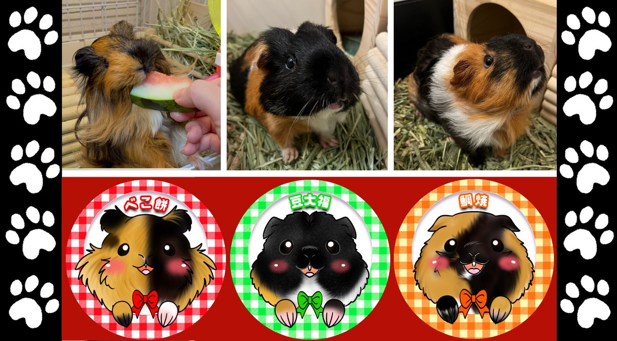 egaokoubou's tweet photo. モルモットのベコ餅ちゃん、鯛焼ちゃん、豆大福ちゃんとフェレットの磯辺焼ちゃんの作品製作させて頂きました、ありがとうございましたm(__)m
猫ちゃん、わんちゃん以外に色々なアニマルも作りたいのですが、慣れていない物は時間がかかるので、今は余裕が無くて、お断りしていますm(__)m
作品後にひょっこり映っているフェレットの磯辺焼ちゃんの作品は後日紹介します。