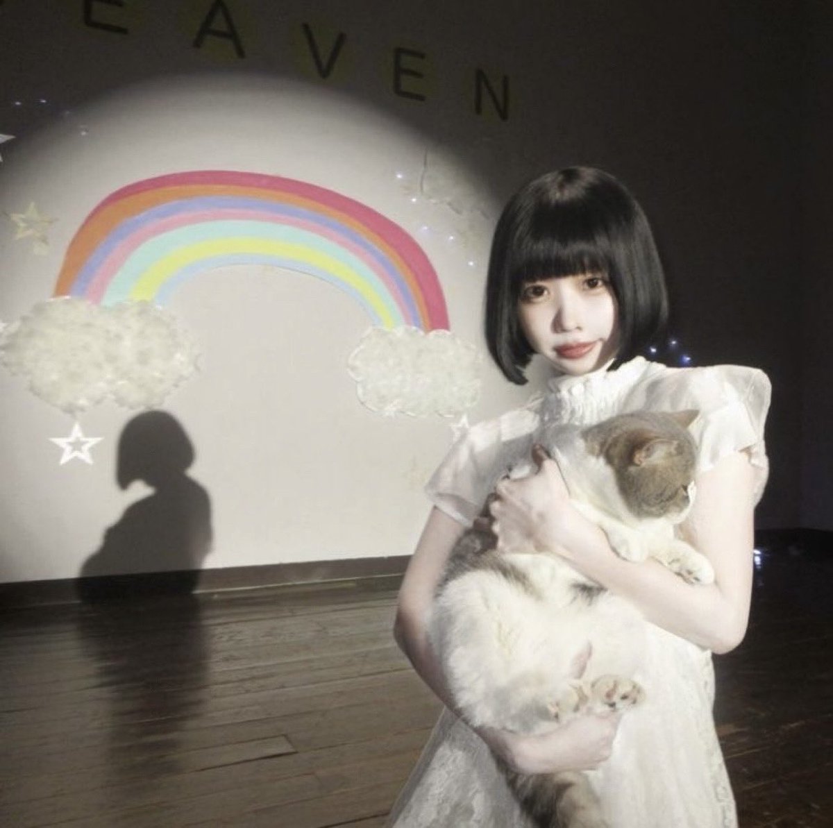 猫の日^ ̳> ·̫ < ̳^ 🎀⸝⸝꙳あのちゃんとネコ೨⁾⁾