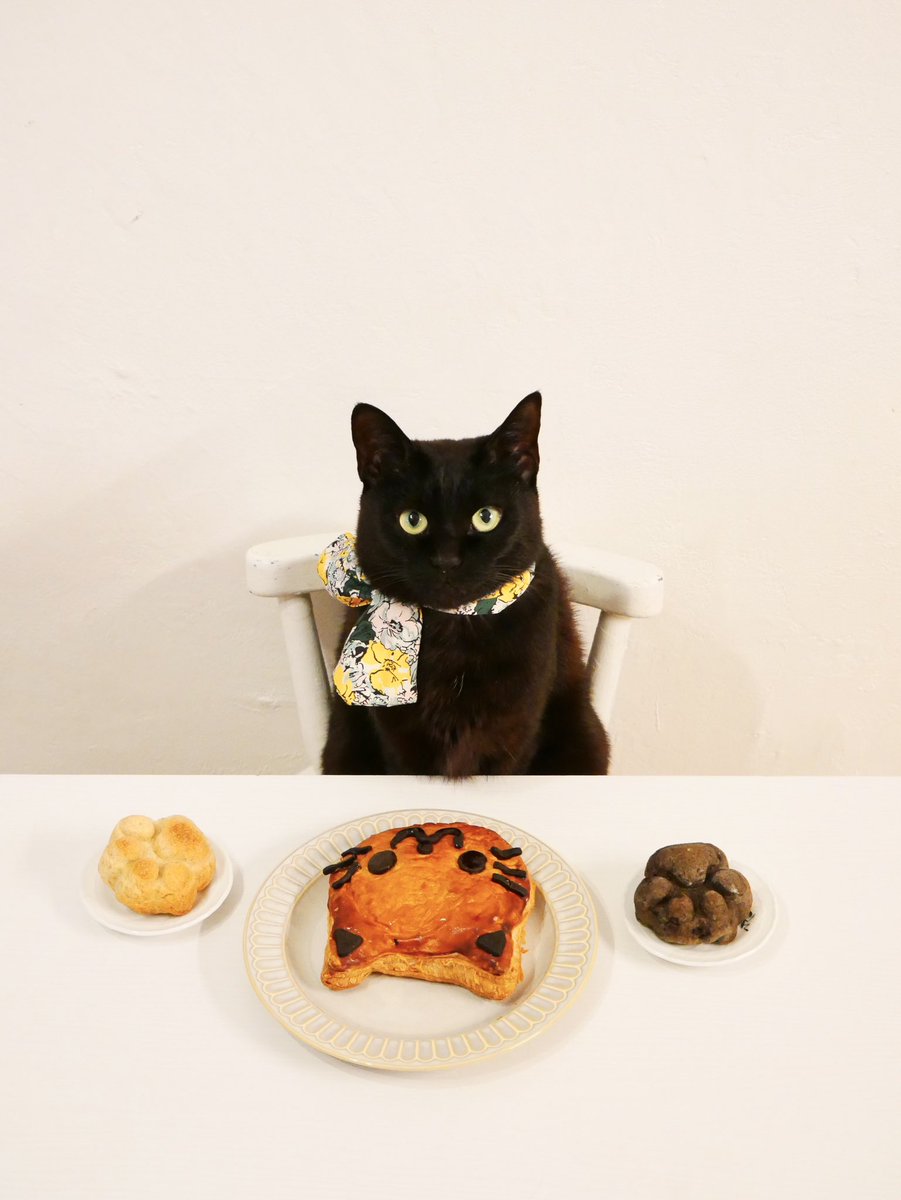 OreoToRitz's tweet photo. 猫の日！

全ての猫さんが幸せでありますように✨

#オレオとリッツ🐾
#猫好きさんと繋がりたい 
#猫のいる暮らし
#猫のいる幸せ https://t.co/91Jq4ixyai