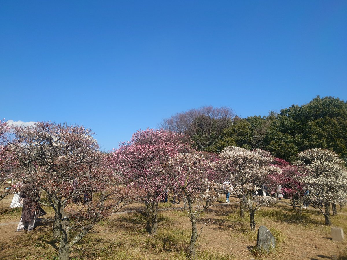 rta8284's tweet photo. 城南宮と梅小路公園へ！
天気よくてお出かけ日和でした〜 https://t.co/zteZPvhUpe