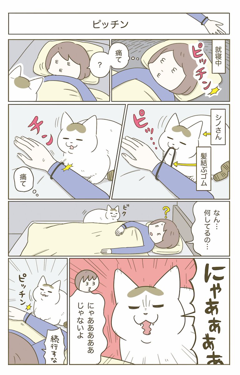 猫の日なので!
🐱猫マンガまとめ🐱
#ねこの日 