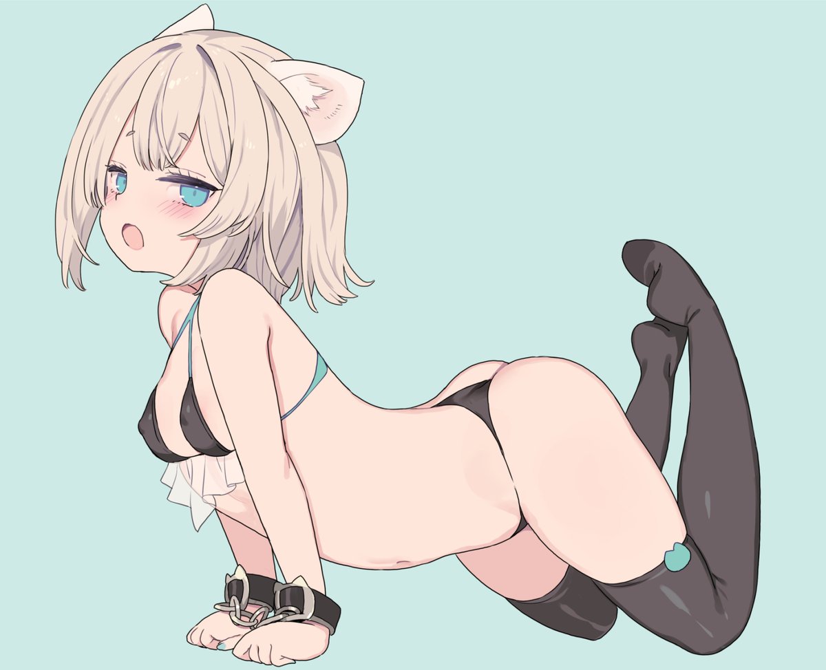 ニャンニャンニャン🐾 