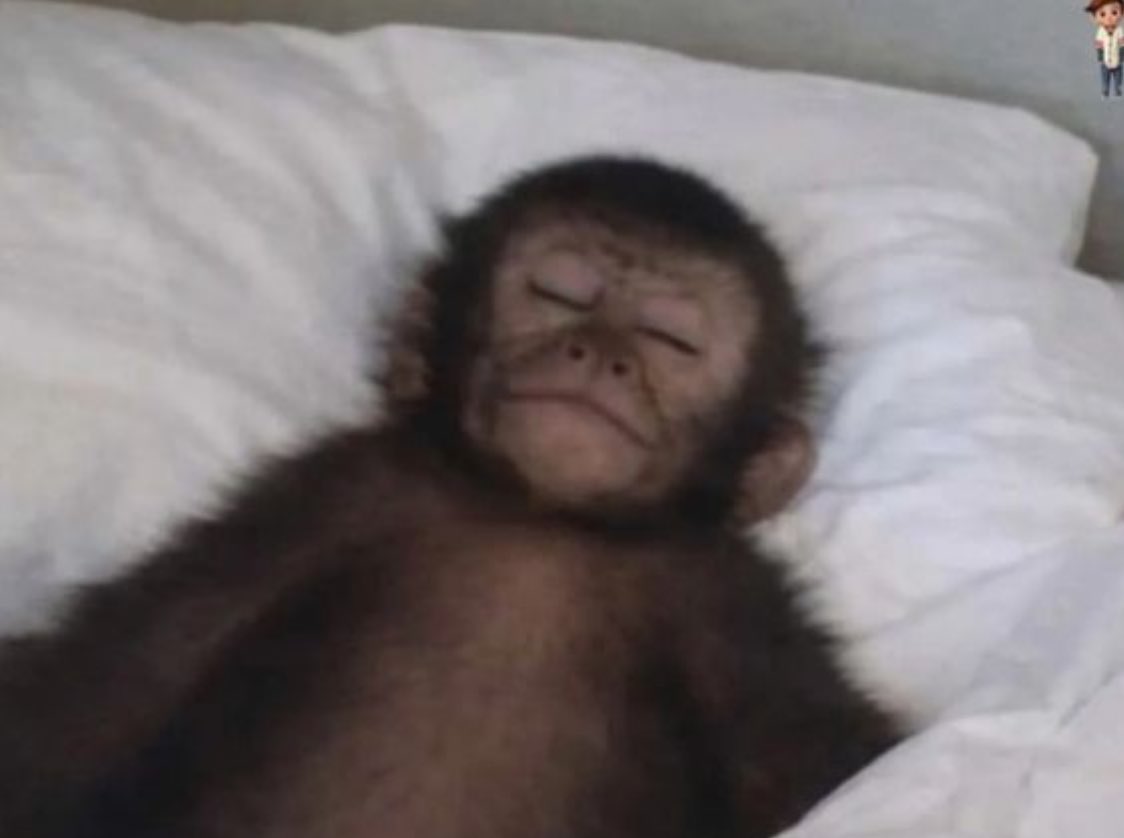 *My alarm continuously ringing &amp; ringing*

Me: