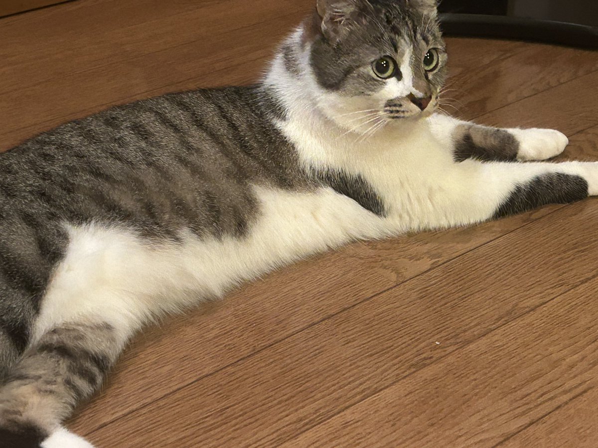 ひま💙🥀💜 tweet media