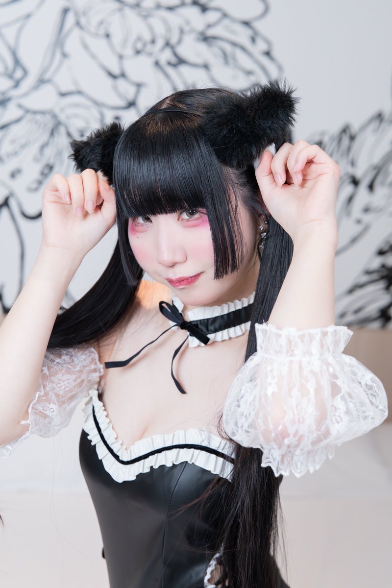 にゃーん…？♡(飼ってくれますか) #ねこの日 #猫の日 #にゃん