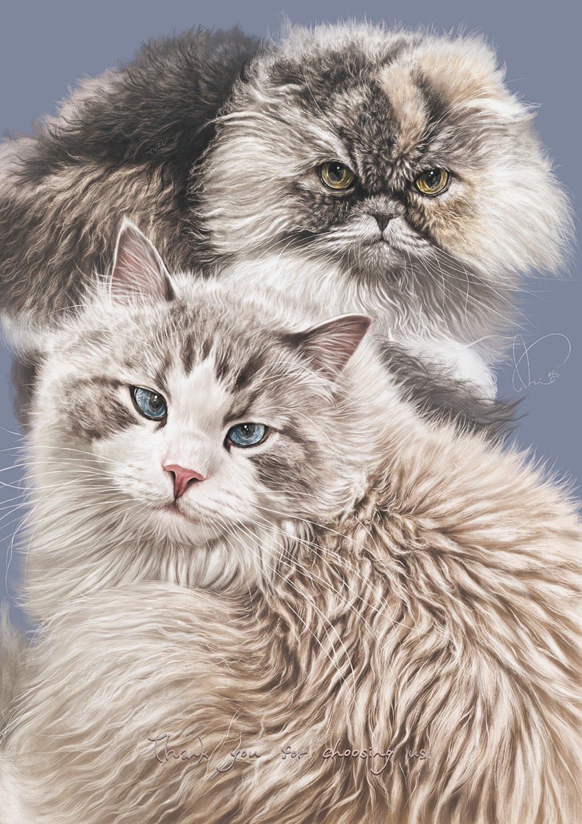 愛猫達の絵をご依頼頂きました。すごく良い絵が描けた。 #猫の日