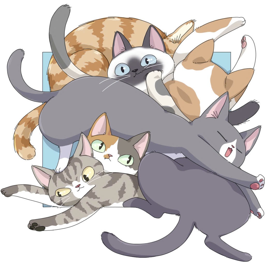 vbnmat's tweet photo. Happy happy happy cat's day ❤️ https://t.co/cLCKX4Tcq7