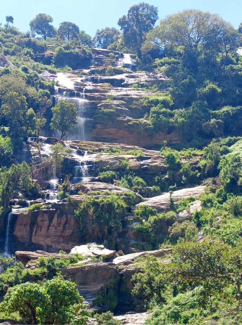 Weekends are for reconnecting with the nature.