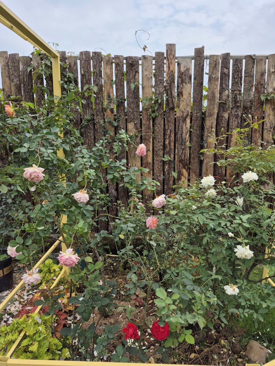 Beyond the Horizon tweet media