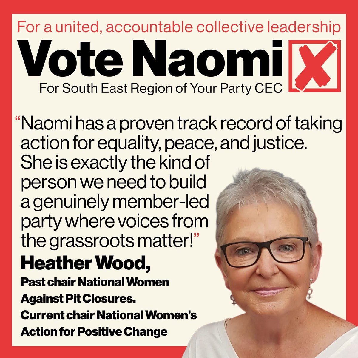 Platform for a Democratic Party tweet media