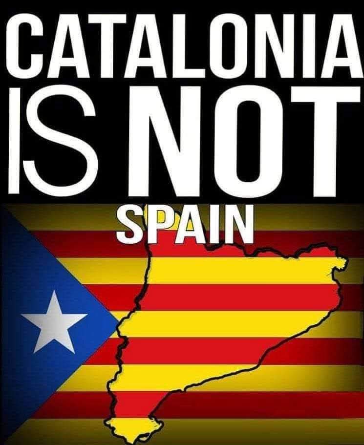 Pere Puntí (@puntipere) on Twitter photo 