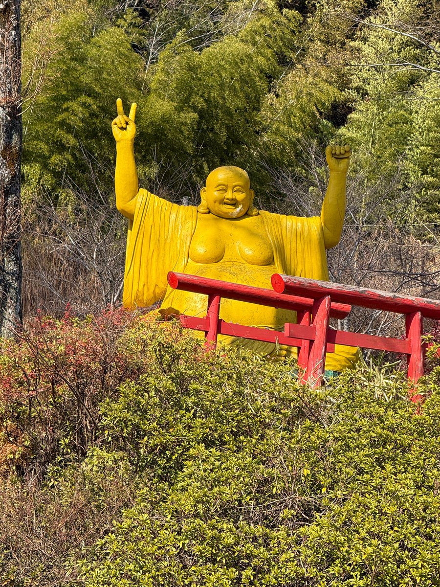 たまちゃん (@07tamamama) / Posts / X