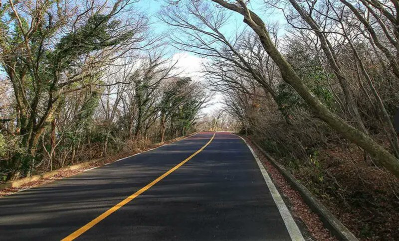 Hannes B. Mosler tweet media