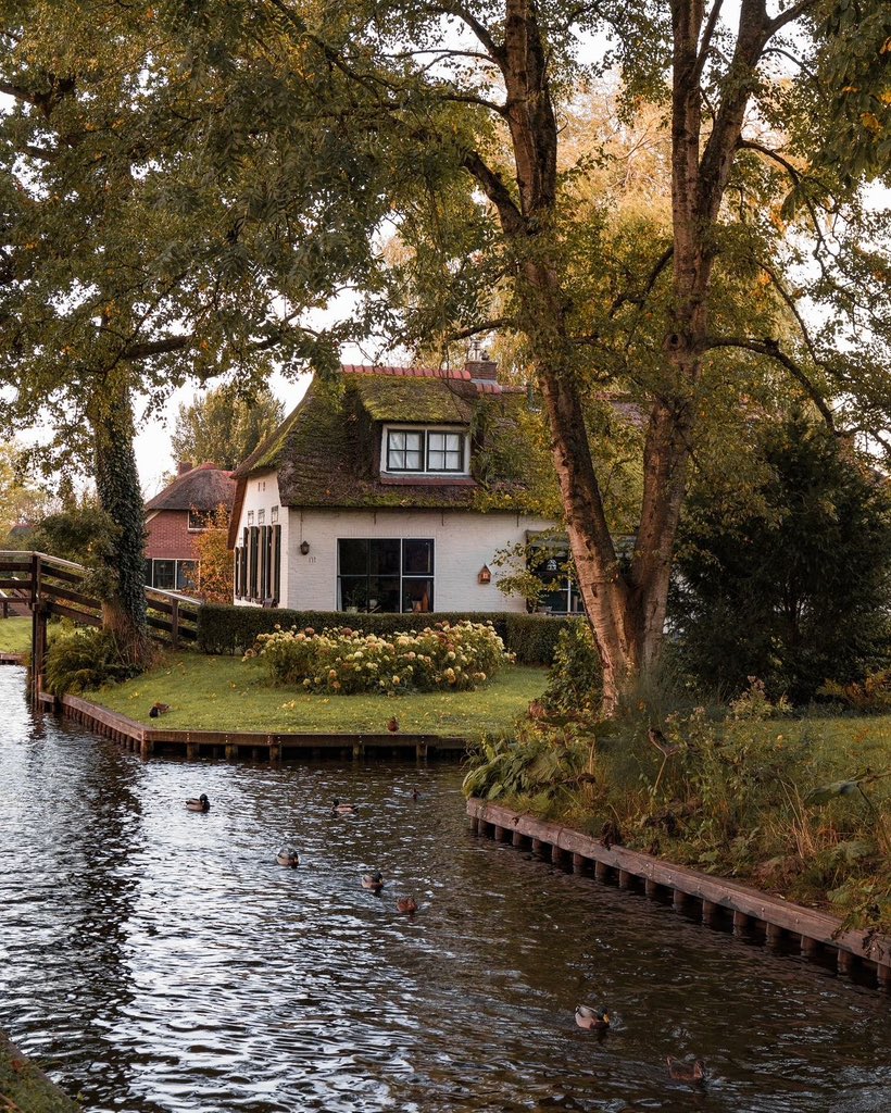 vistaaura tweet media