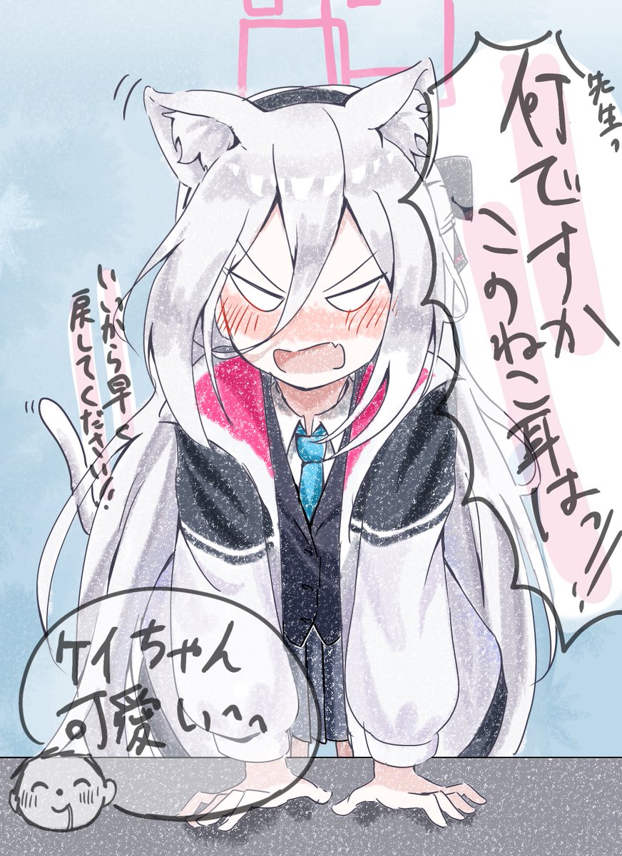 ねこの日 ケイちゃん