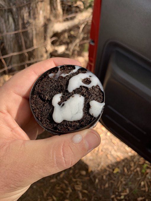 Every dip can should be spiked with #maga #cum #redneck