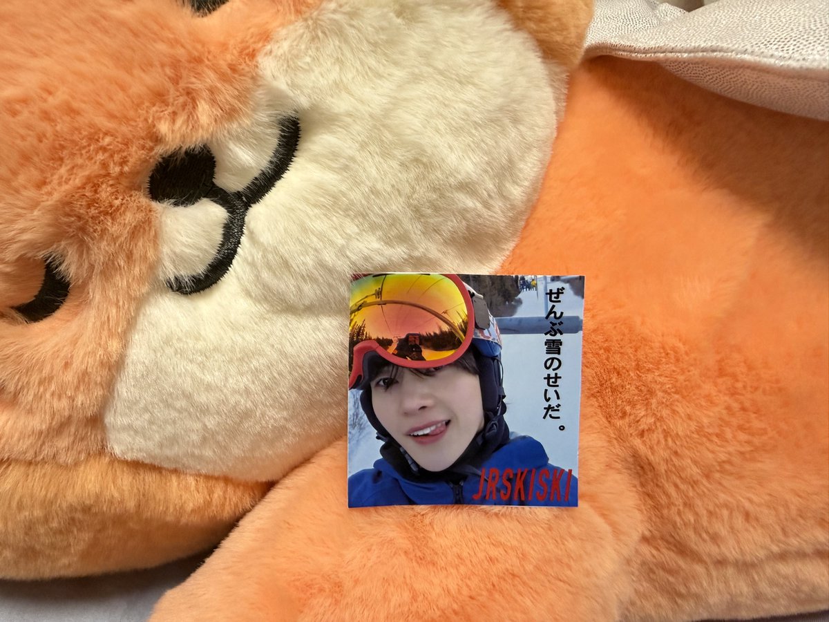 南 tweet media