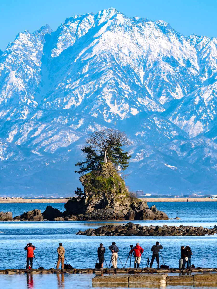 イナガキヤスト tweet media