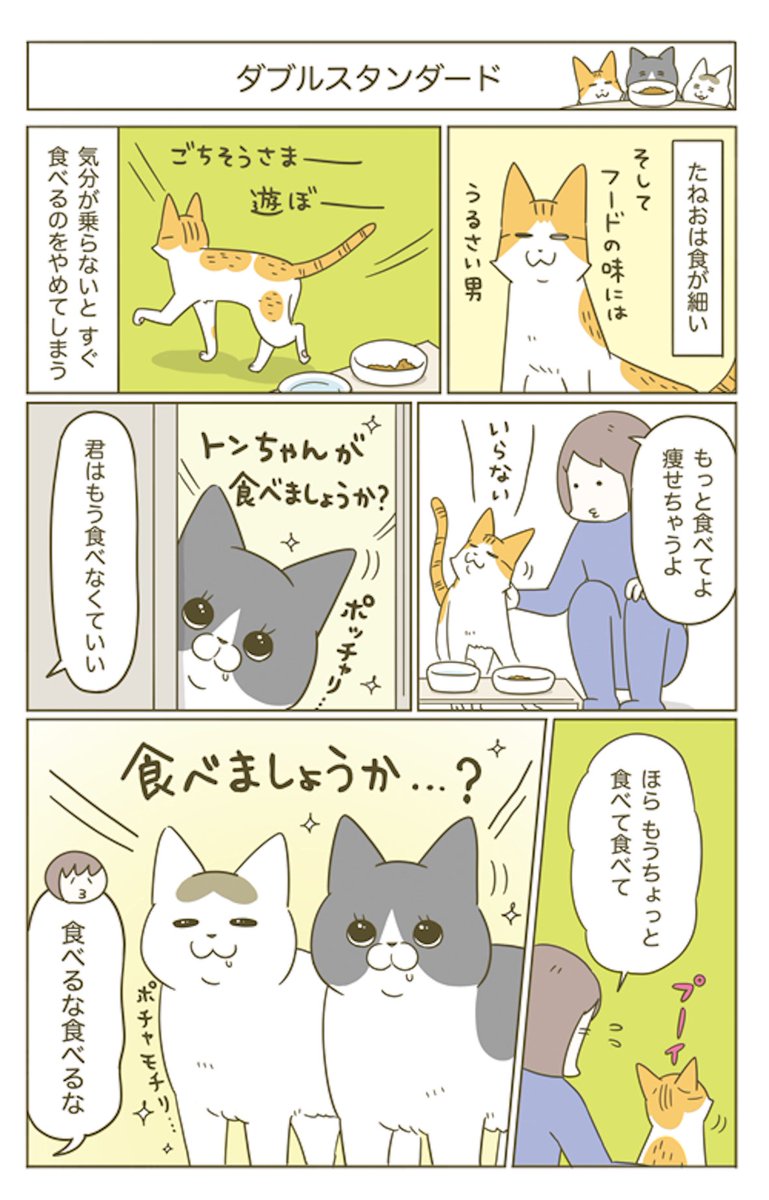 Post by 卵山玉子 on X: 猫マンガまとめ④