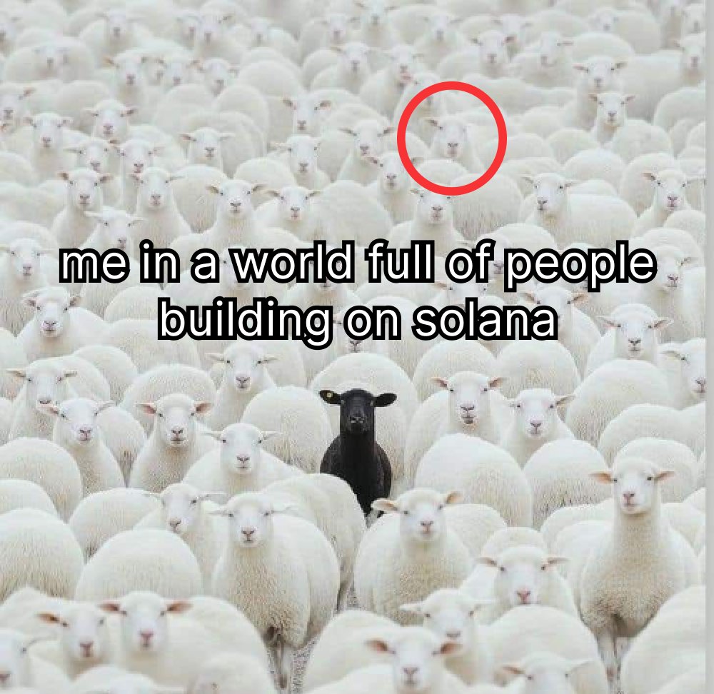 Superteam India tweet media