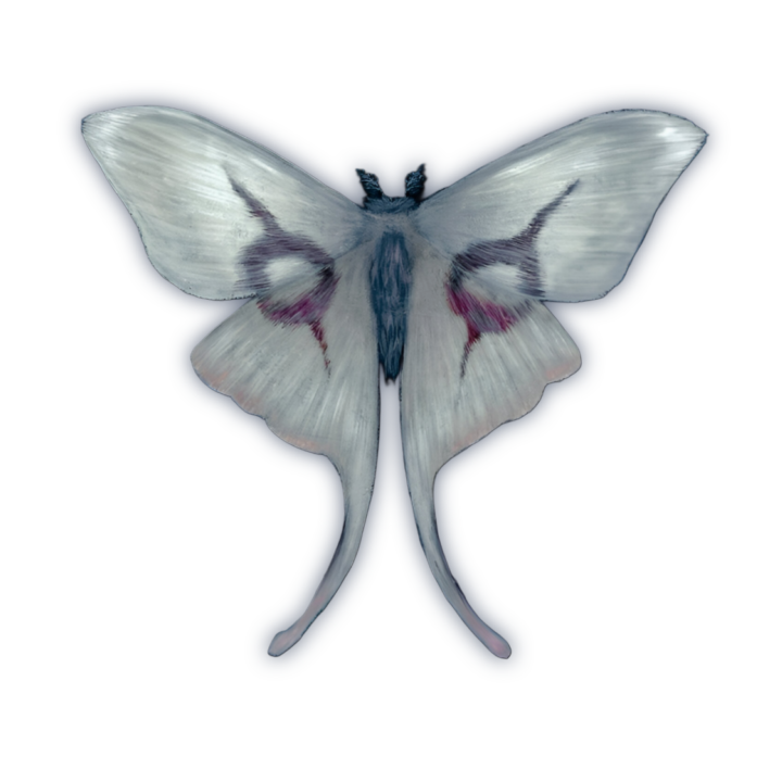 𝒕𝒉𝒆 𝒆𝒎𝒑𝒓𝒆𝒔𝒔 tweet media