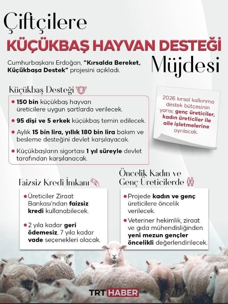 Melike Baysal tweet media