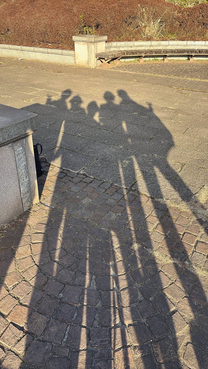 フィーネの皆でピクニック行ってきました！
楽しかったし良いお写真沢山だし皆に可愛いって褒めてもらえてにこにこ🥰
 #0222フィーネ併せあったかピクニック編