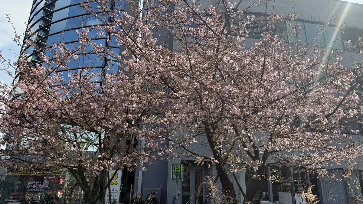 山本 勲 tweet media