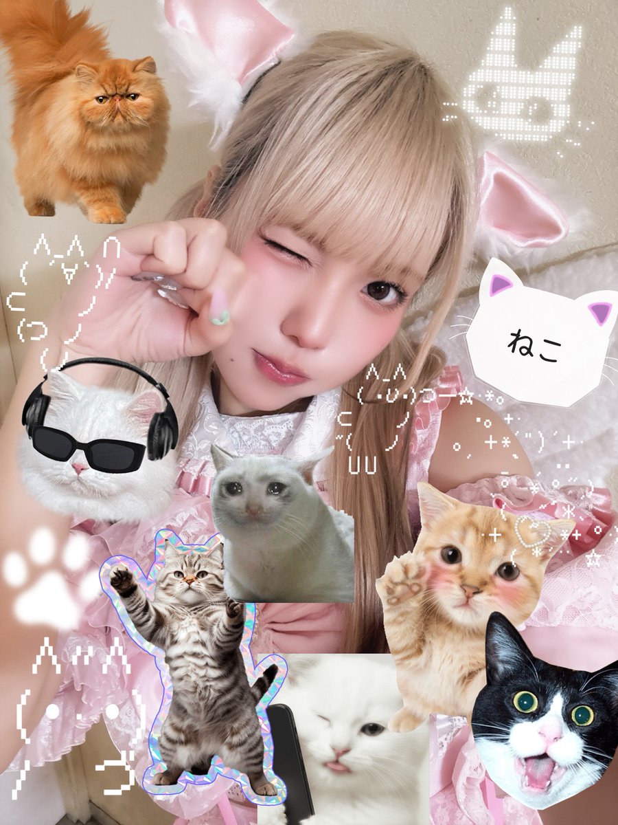 POP IN FESTIVAL 2026さんありがとうございました🩷ྀིദി- ·̫ - ̳^ 2