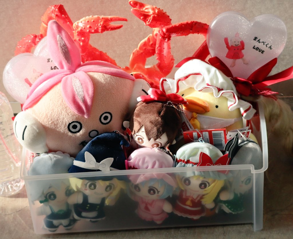 カニちゃん様☆専用ページ 🦀なんと❣️今日カニをもらいました❣️❣️❣️❣️ カニです