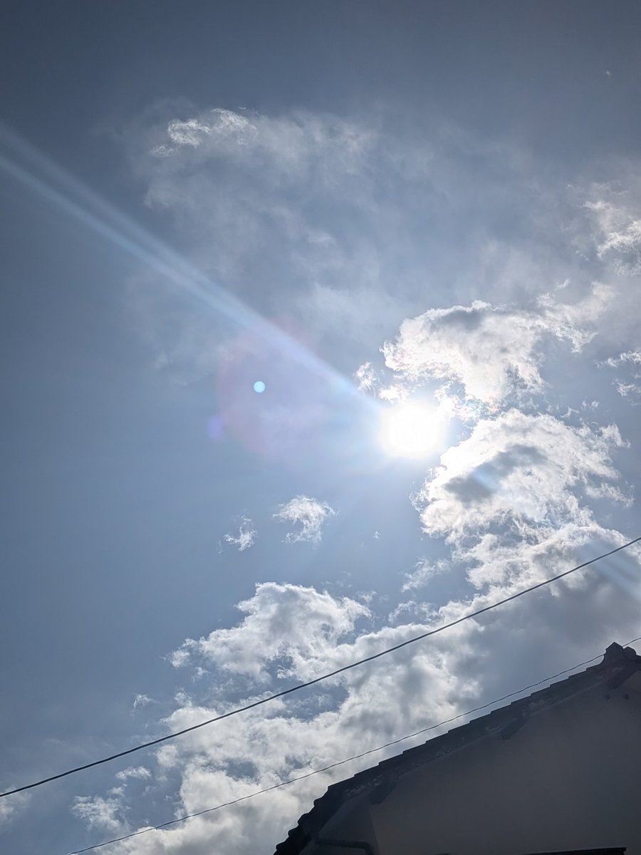 Evergreen tweet media