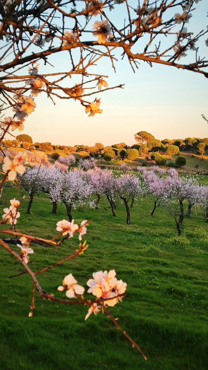 Aníbal Martín tweet media
