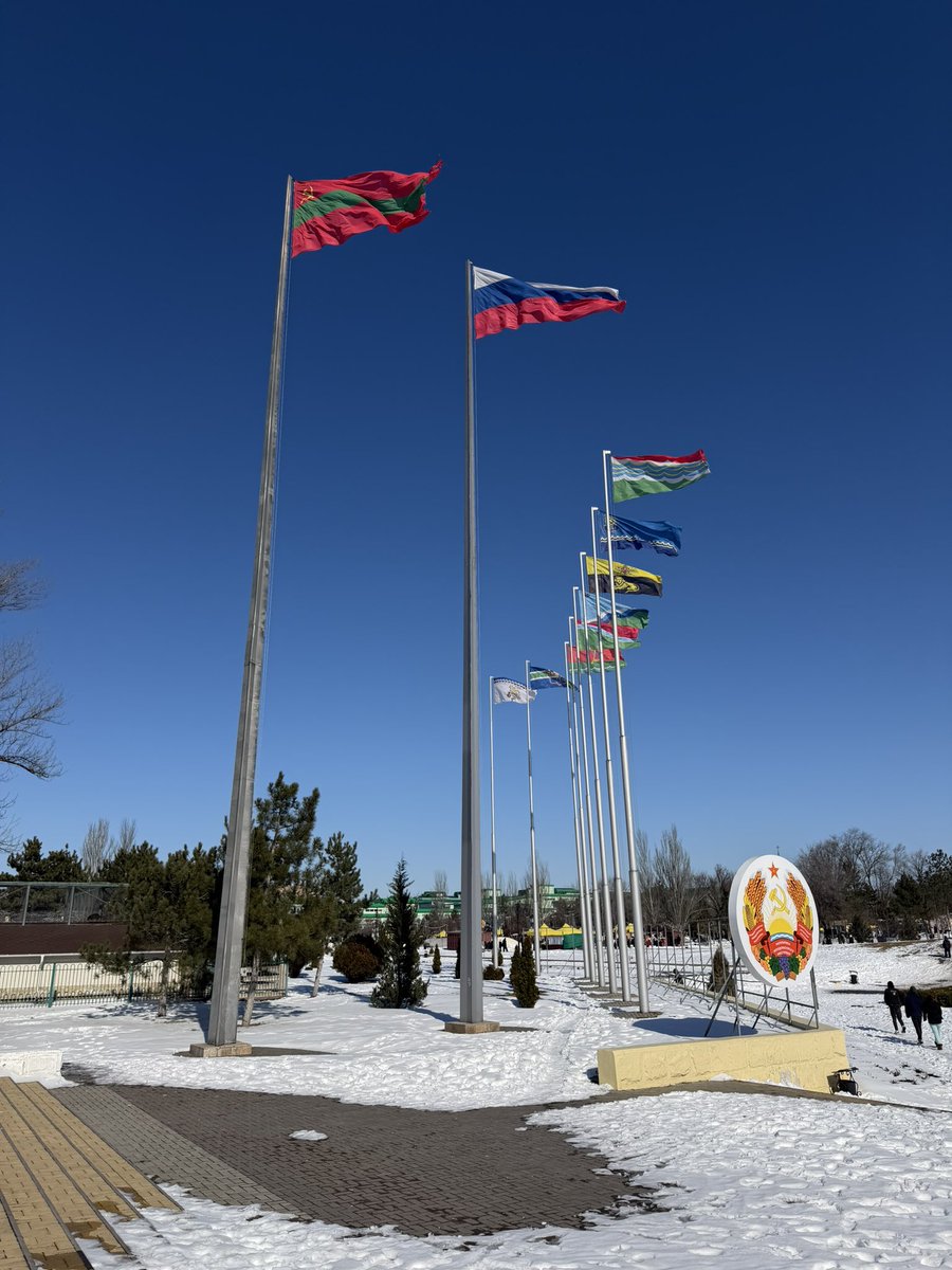 アトラス tweet media