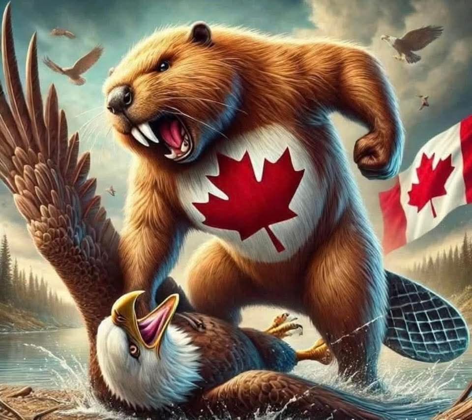 Jen (ESC) 🇨🇦❤️🦋 tweet media