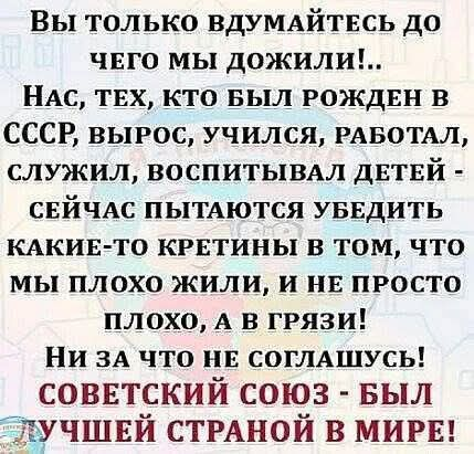 вано шаламов 8.0(მესხი) tweet media