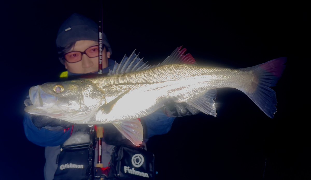 MRYOTA6666's tweet image. ホタルイカパターン🦑

昨晩ベンダ101で遠投した後にクラッチ切ってさらに流して海水と淡水混じる場所でアイザー100Fフラフラさせたらバイト。
こんな綺麗なシーバスに会えるホタルイカシーズンに感謝。

(3月はメバルとレッドも…🤤)
#Fishman #BRISTVENDAVAL101M
#BlueBlue #アイザー100F