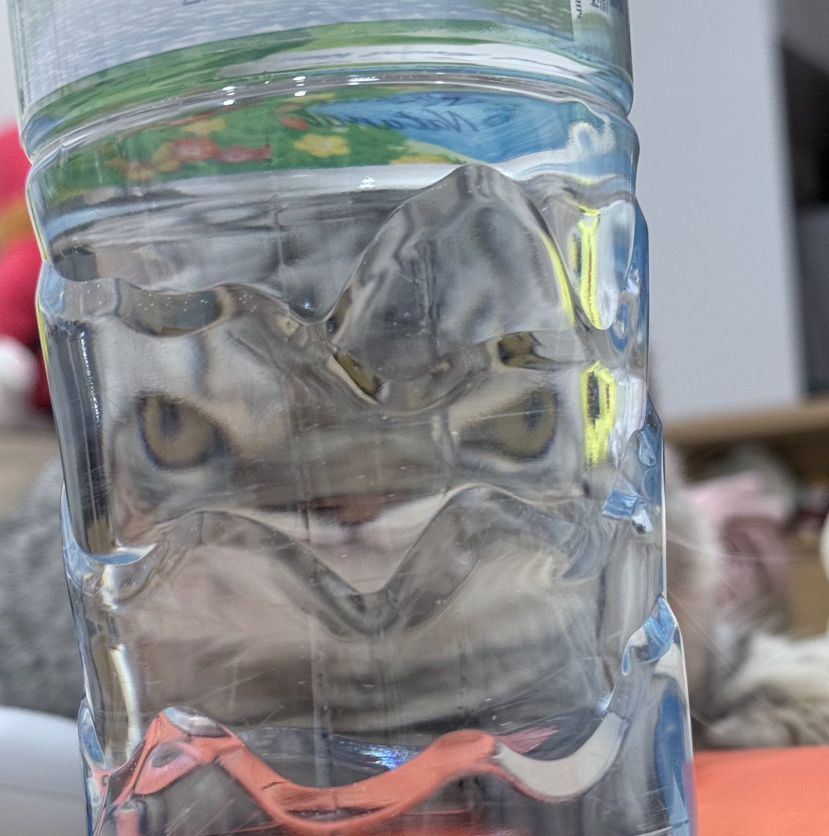 นี่ ถ่ายมะคืนมารุใส่ฟิลเตอร์โกด😠