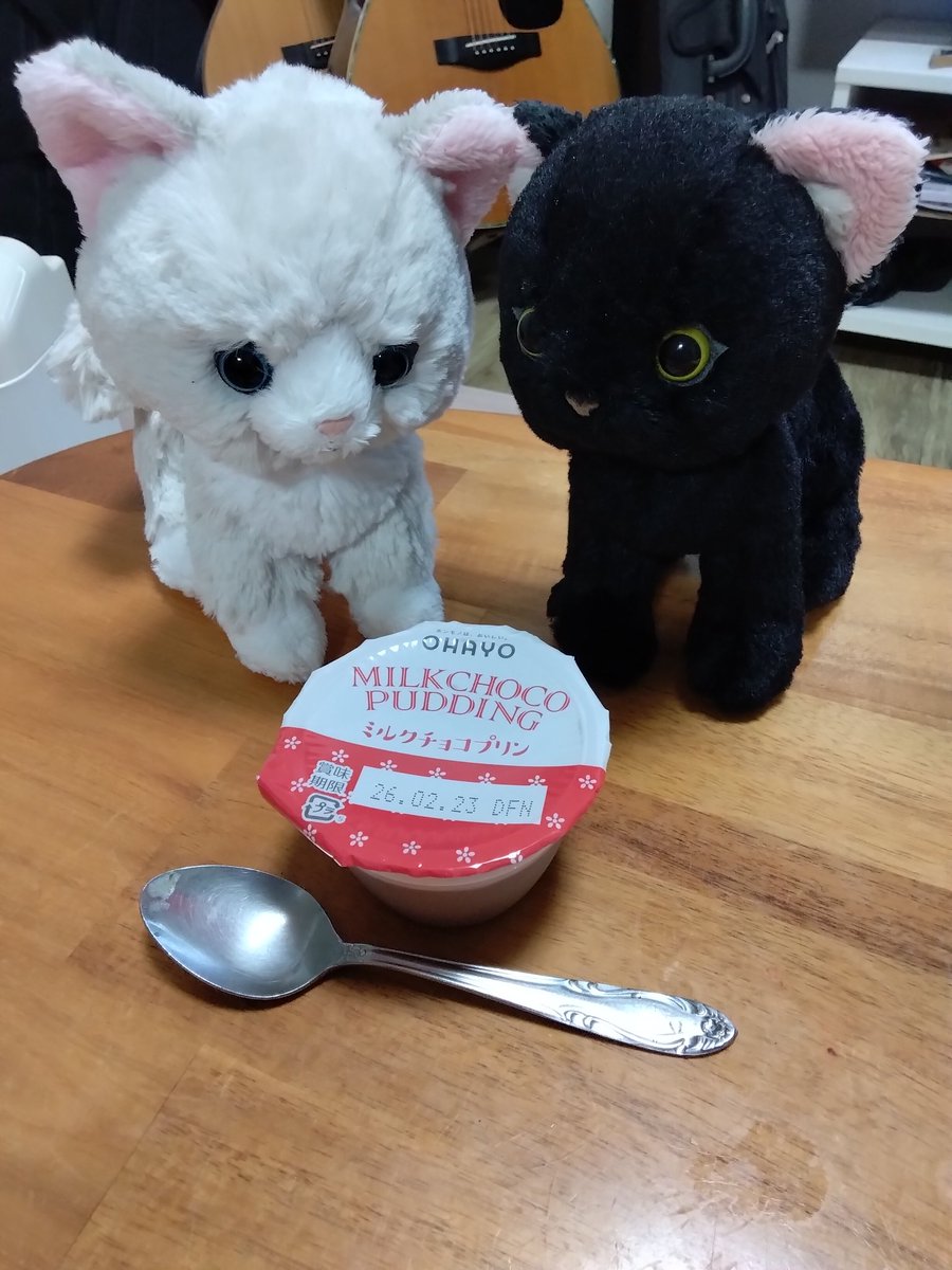 にゃー吉 (@nya_kichi_1215) / Posts / X