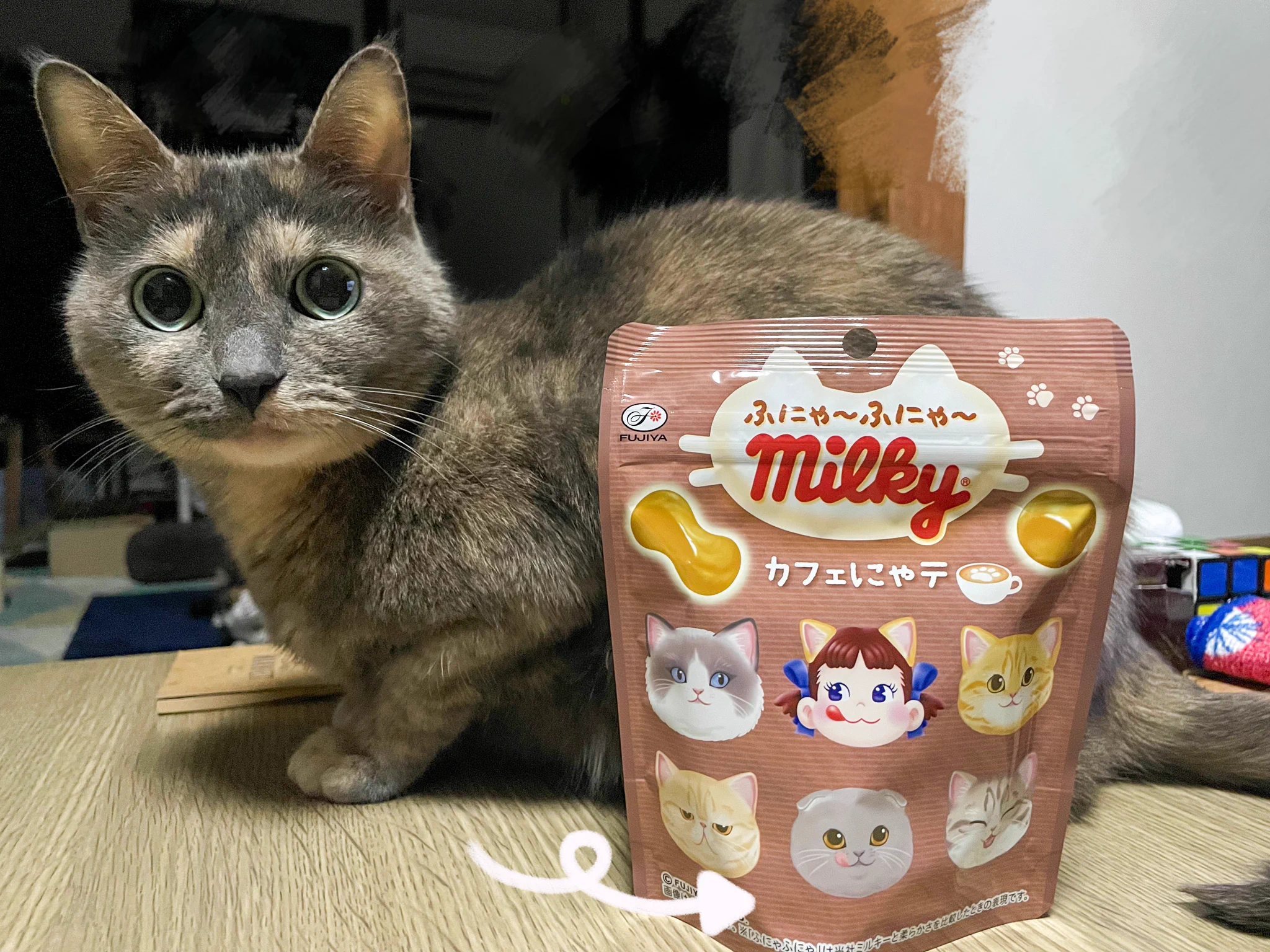 にびたび on X: 
