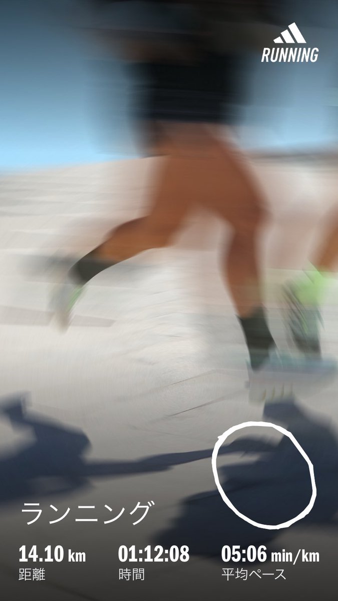 オルフェーヴル tweet media