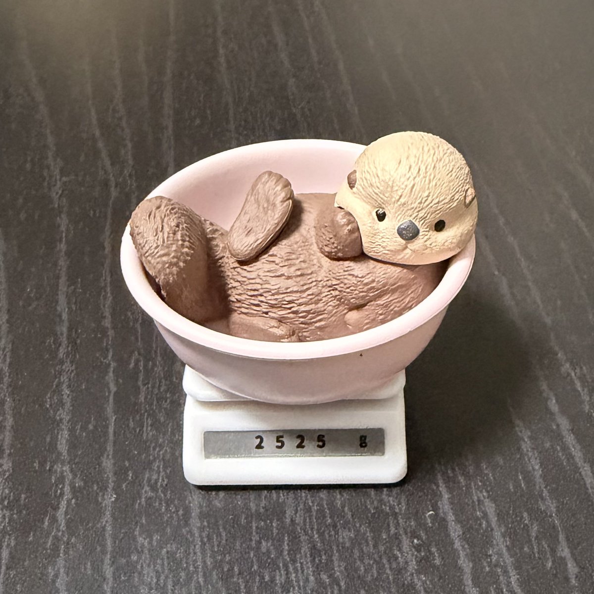 ちゃたろうL＇ (@schataro) / Posts / X