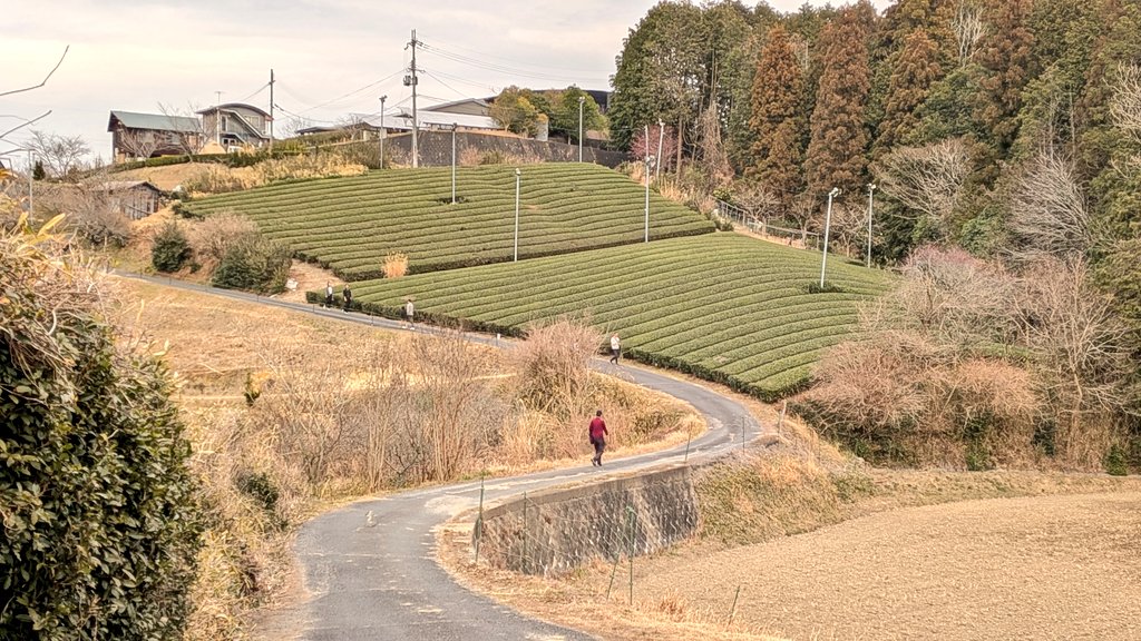 markroadsx's tweet photo. 今日はよく歩いた。そんな歩いていた時の1枚。
#奈良県 https://t.co/rQspvpFF4c