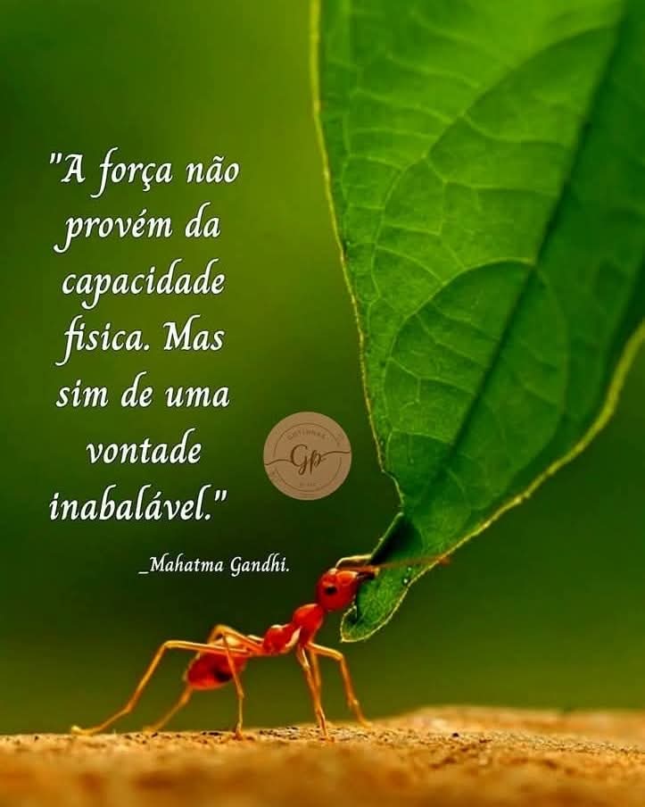 Feliz domingo! 🤩💓