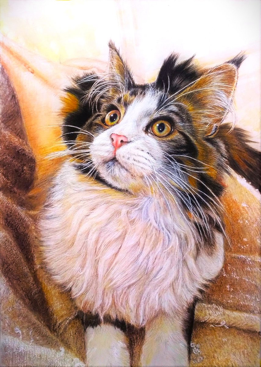 2月22日㈰ にゃんにゃんにゃんの日 にゃんこの日でしたね🐈💕 #色鉛筆