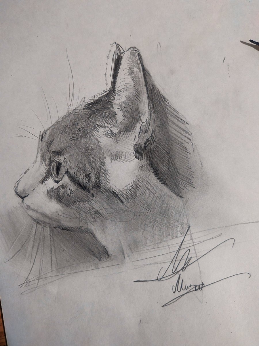 ifっち猫ちゃんの ドローイング❣️ かわいい